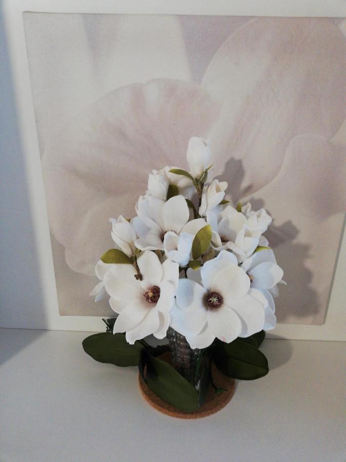 B&B Le Magnolie Gallarate Buitenkant foto